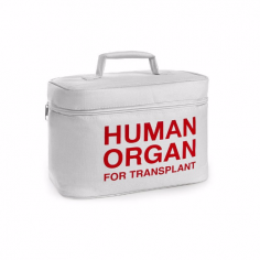 Kühlbox: Organ Transport